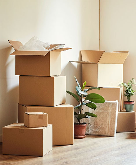 Packers and Movers in Srinagar